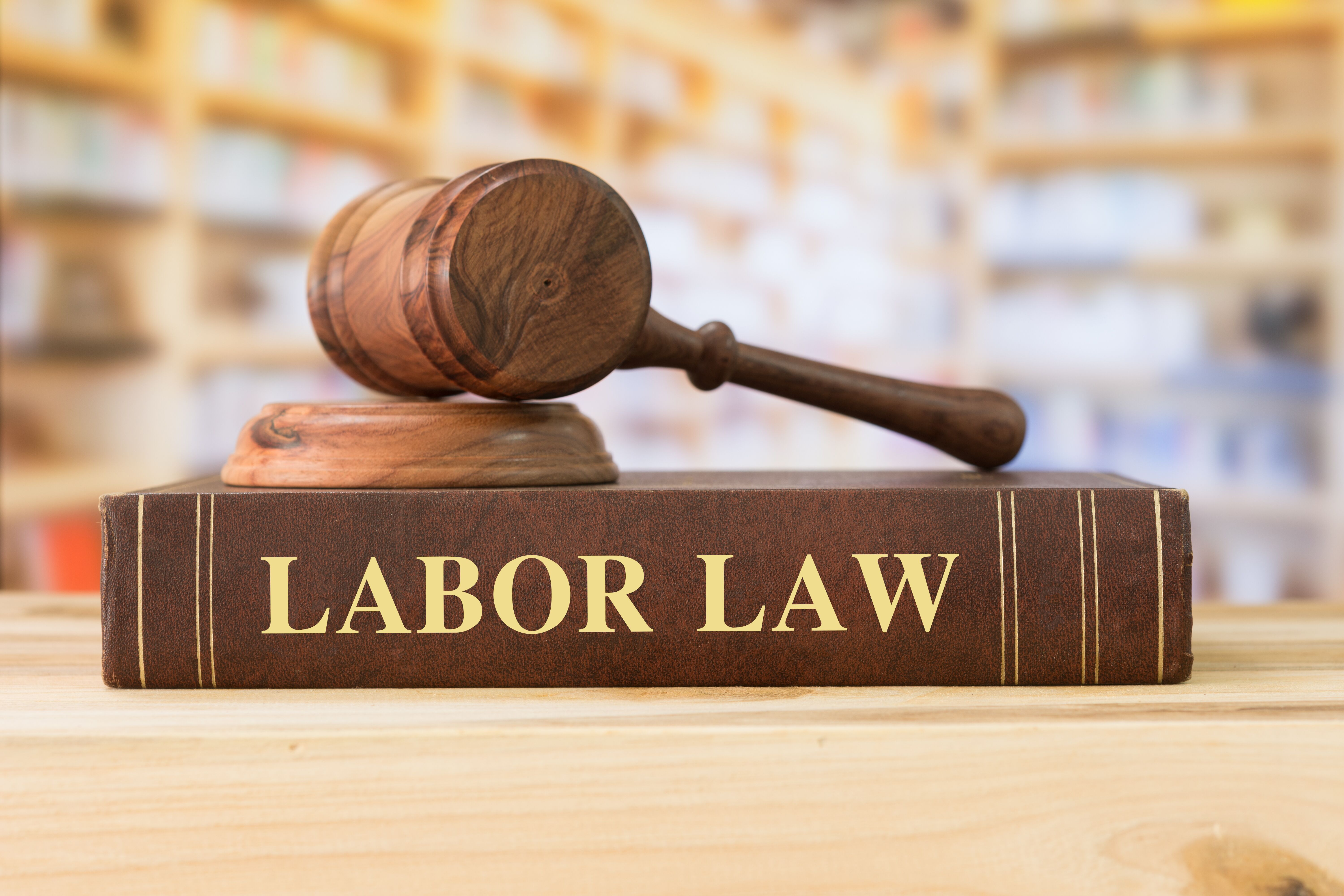Attorney Employment Law Burney thumbnail
